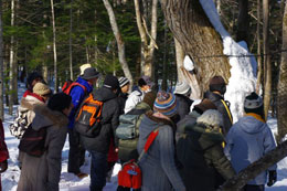 Winter Eco-tour 2010